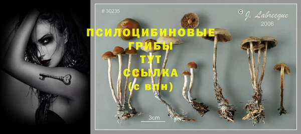 кокаин колумбия Заволжск