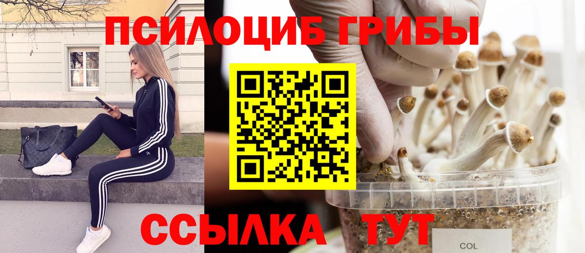 Звенигород  Псилоцибиновые грибы ЛСД  наркотики  Вход с VPN 