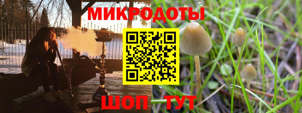 Галлюциногенные грибы Psilocybine cubensis Звенигород